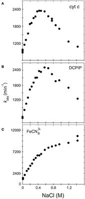 Correction: The Hinge Segment of Human NADPH-Cytochrome P450 Reductase in Conformational Switching: The Critical Role of Ionic Strength